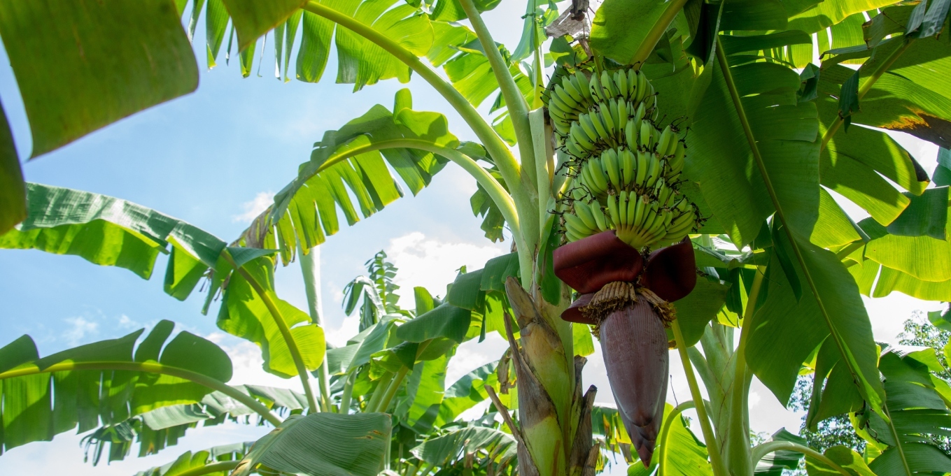 AdobeStock_215336758