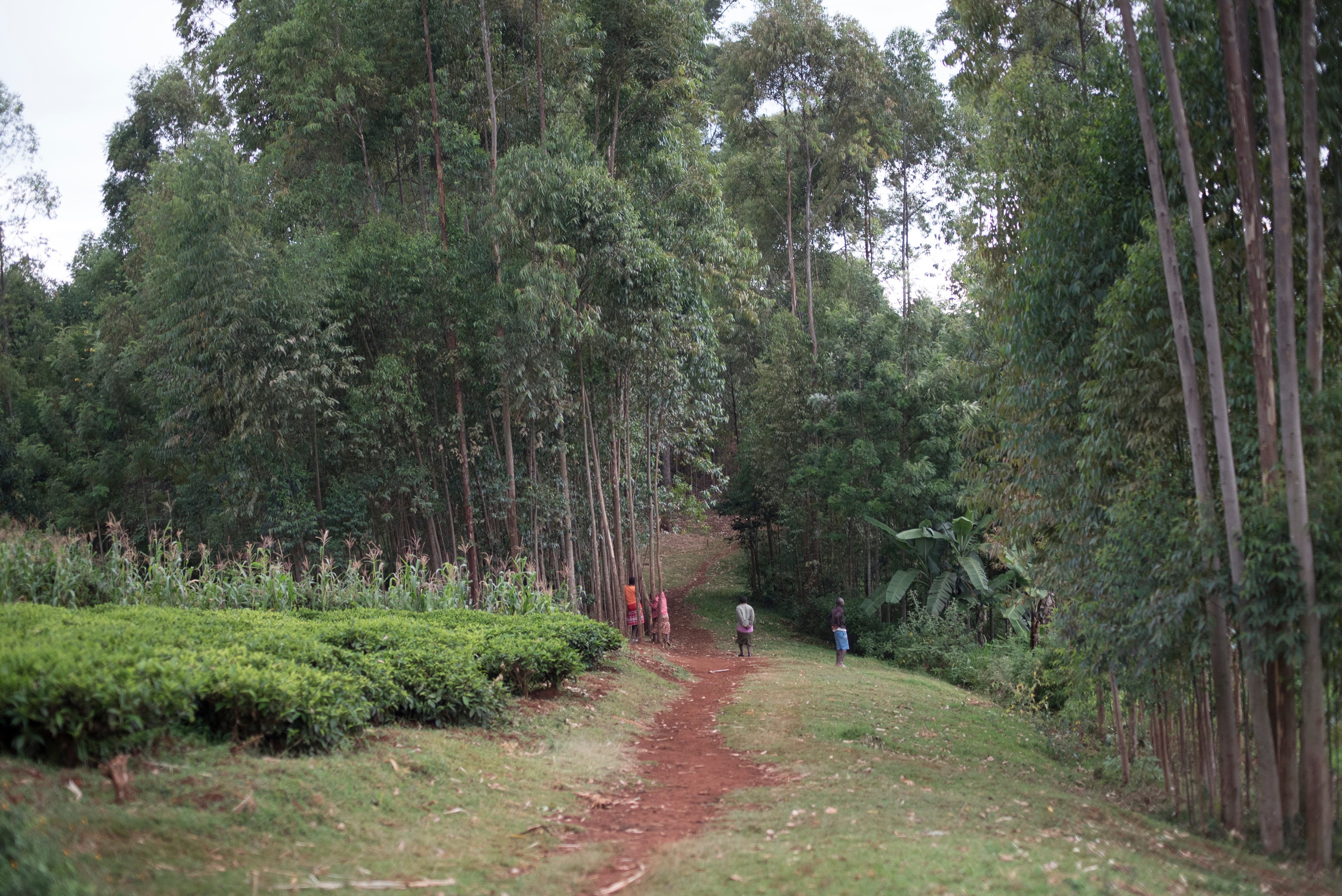 KENYA - paesaggio + persone