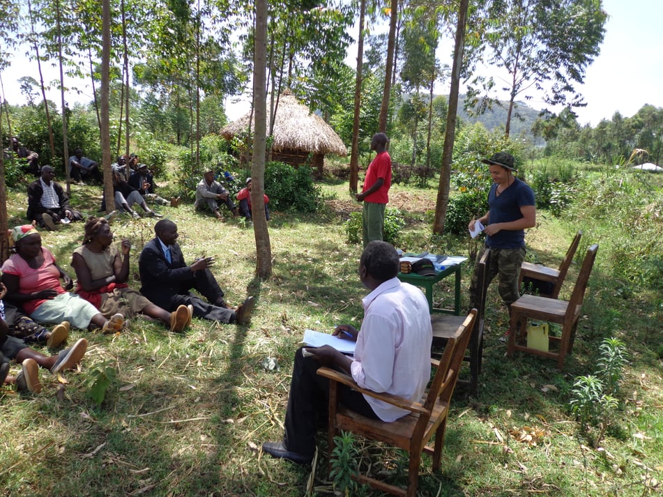 KENYA -uomini intorno agli alberi - non bellissima ma potremmo usarla (2)