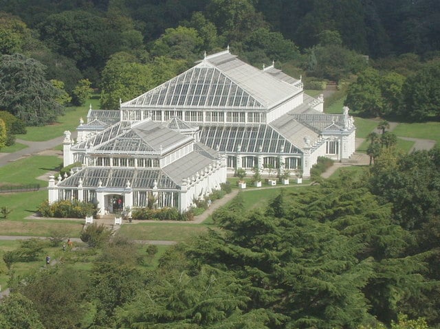 Kew_Gardens_Temperate_House_from_the_Pagoda_-_geograph.org.uk_-_227173