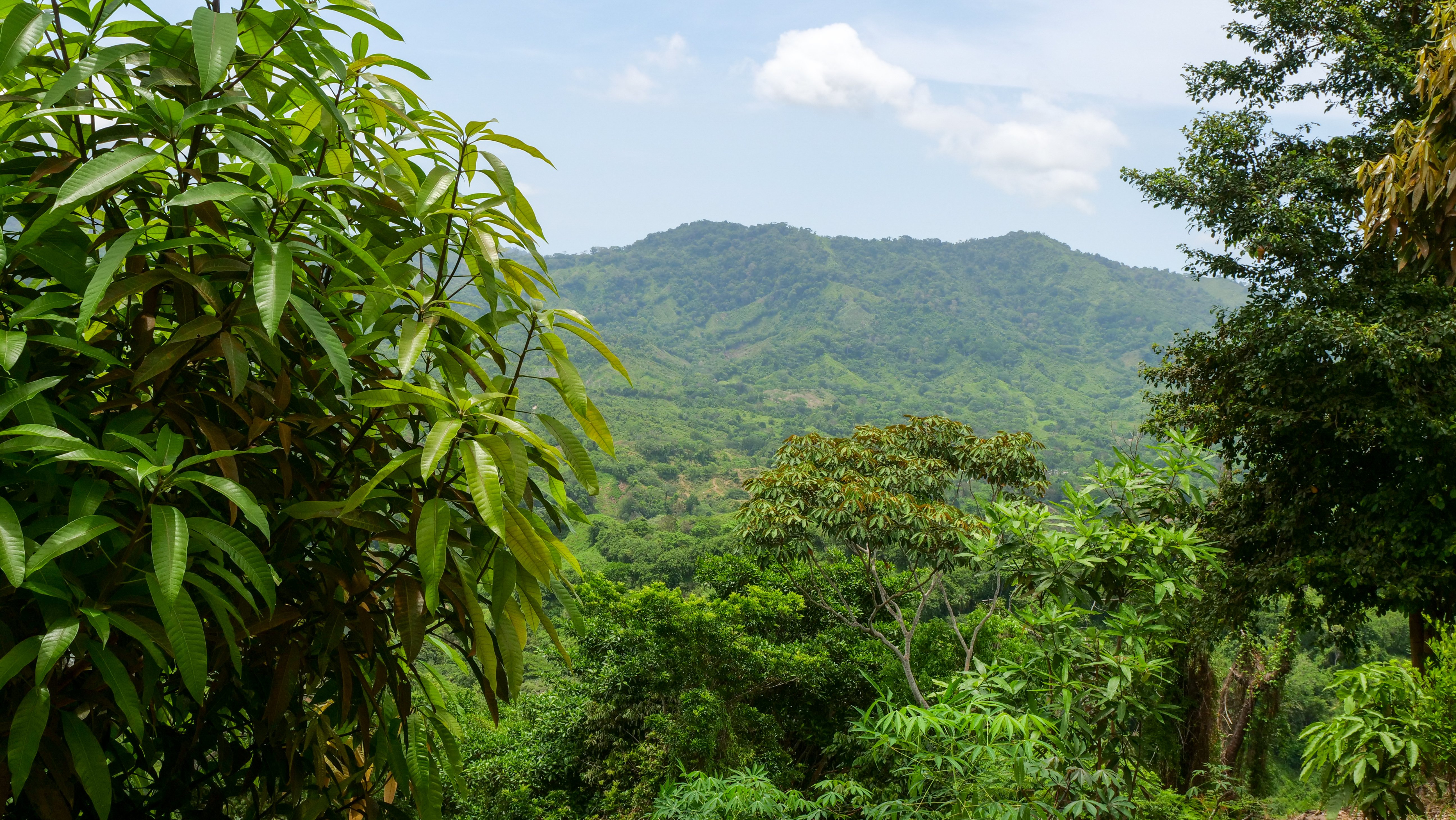 Landscape_Colombia-15