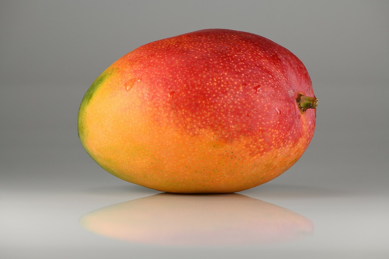 Mango Rais How to sprout a mango at home