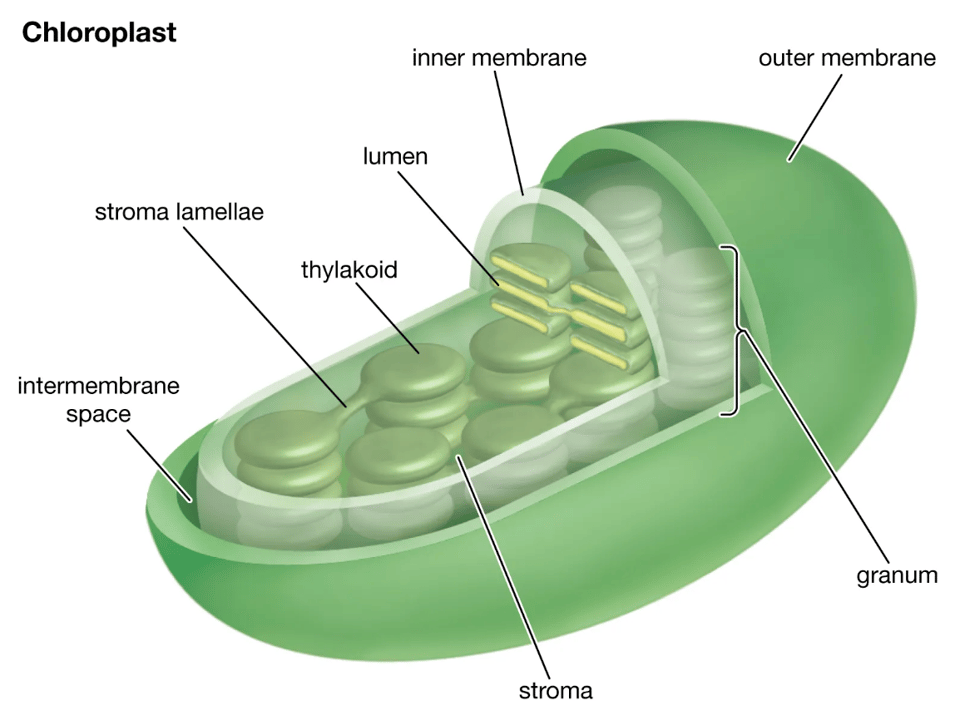 Screenshot 2025-10-27 alle 15.54.44