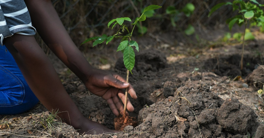 Screenshot 2025-12-09 alle 12.48.13