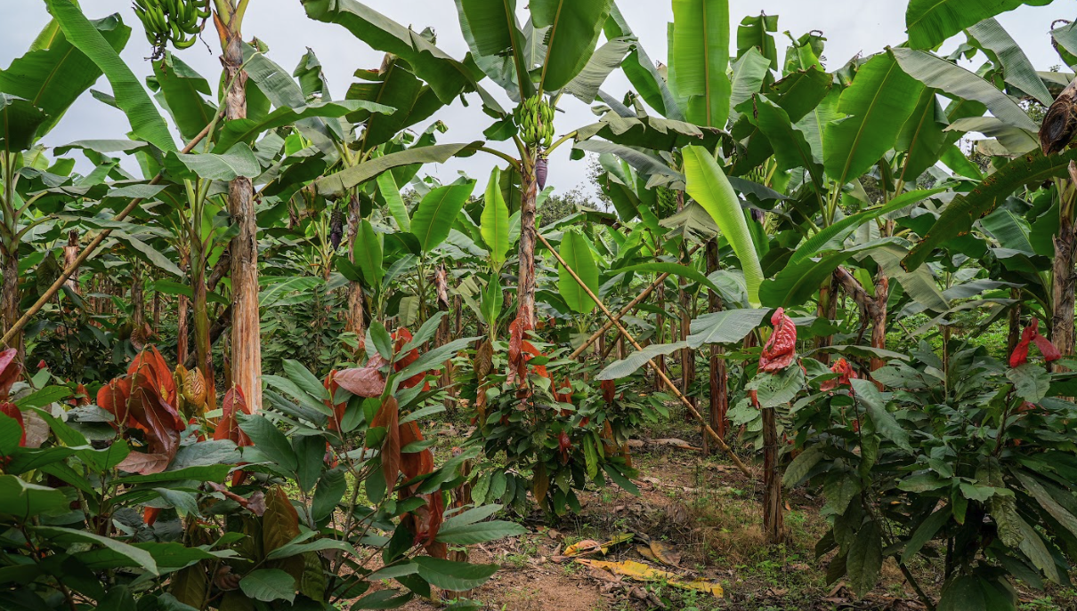 Screenshot 2026-02-23 alle 10.41.35