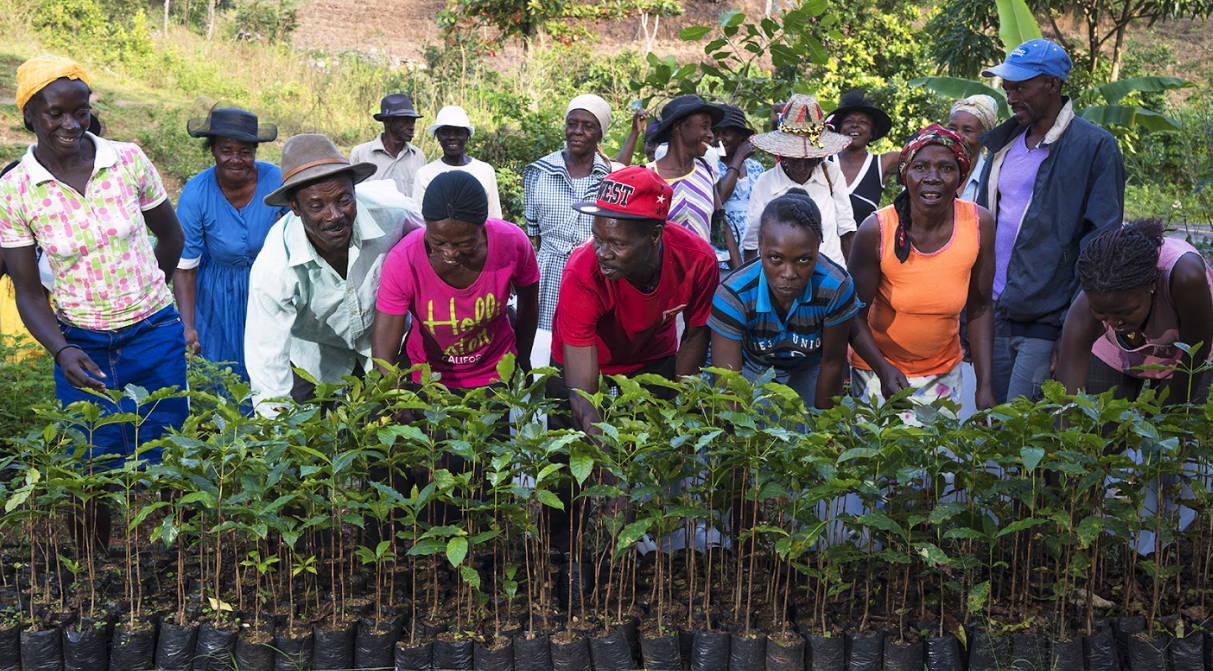 Screenshot 2026-02-23 alle 10.43.18