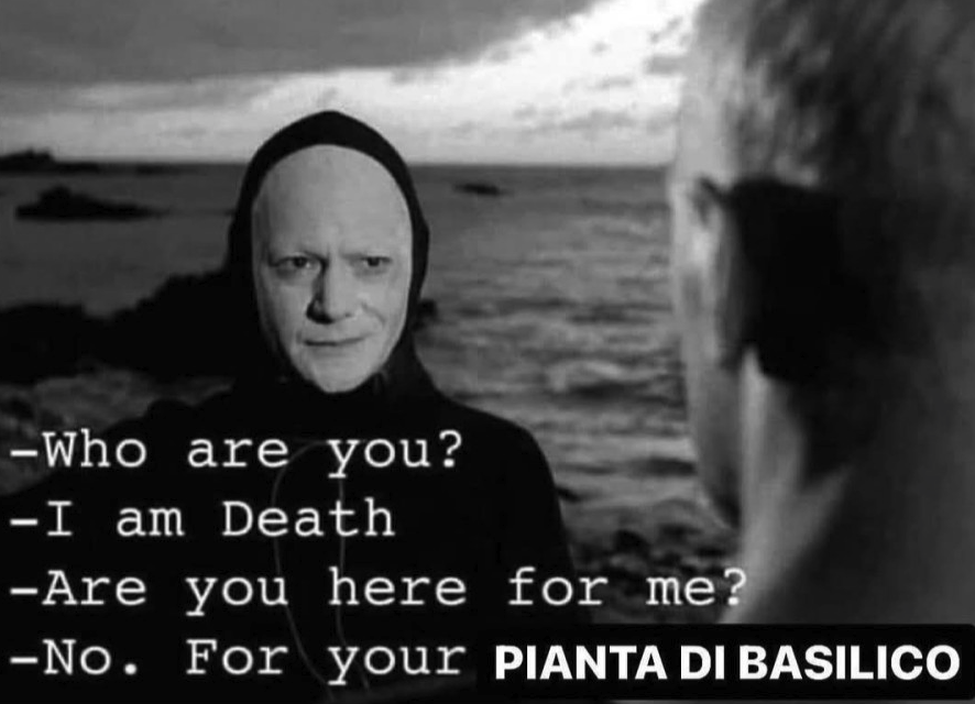 basilico-morte