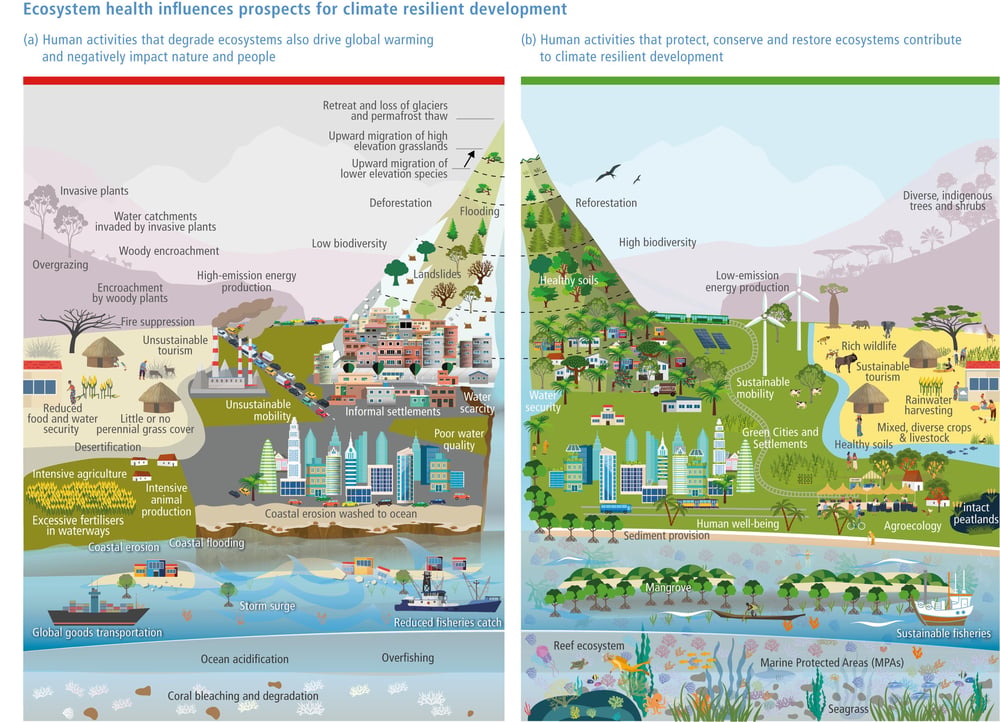 biodiversità_3