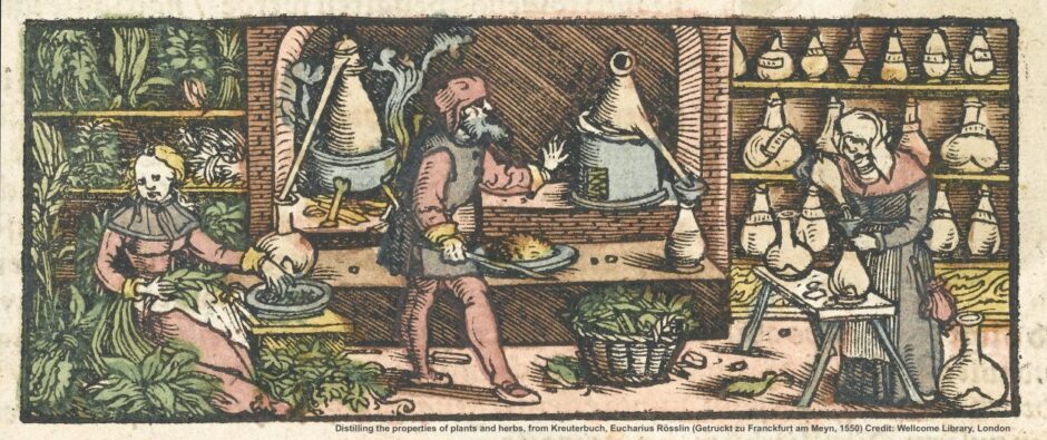 cropped-cropped-HHRN-Banner-Image