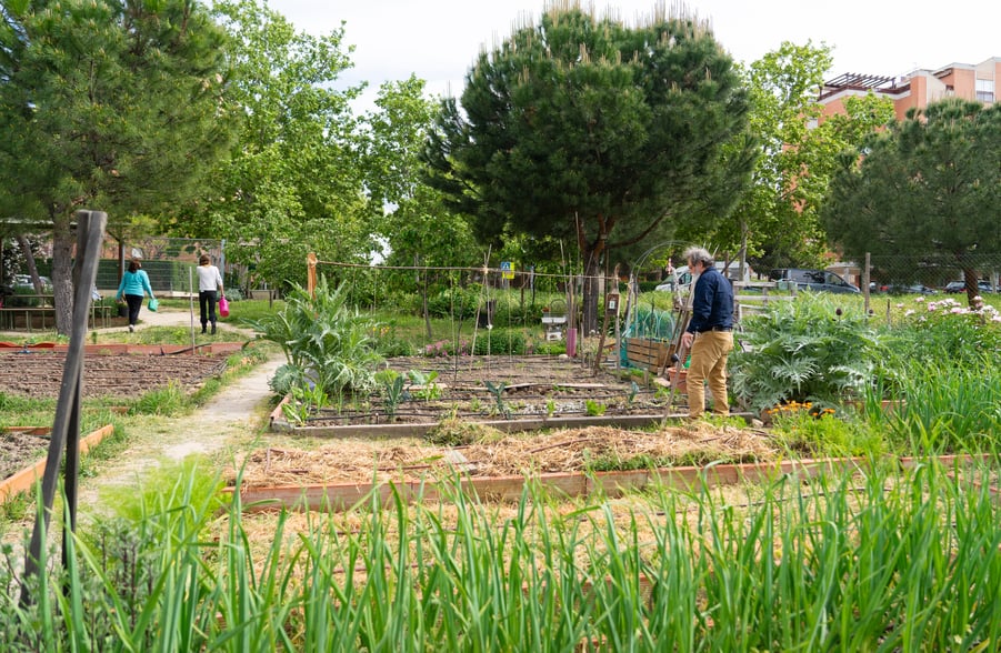 urban-neighborhood-community-garden-with-people-wo-2026-01-10-23-55-27-utc